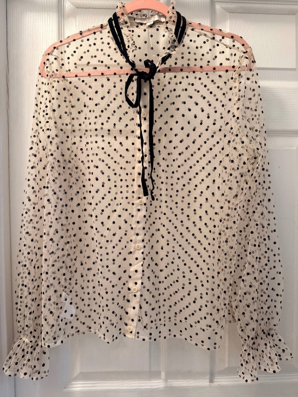 Loft Velvet dot Tulle Top